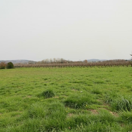  FACTORIMMO : Terrain | PRAYSSAC (46220) | 0 m2 | 39 710 € 