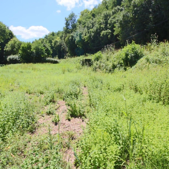  FACTORIMMO : Terrain | PUY-L'EVEQUE (46700) | 0 m2 | 22 000 € 