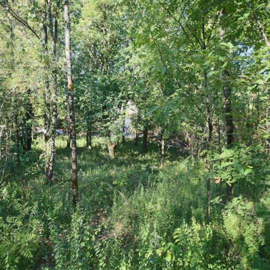 FACTORIMMO : Terrain | LUZECH (46140) | m2 | 29 700 € 