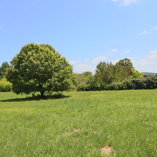  FACTORIMMO : Terrain | PUY-L'EVEQUE (46700) | 3 400 m2 | 41 200 € 