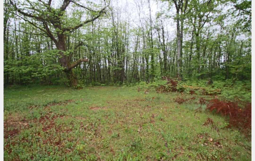 FACTORIMMO : Terrain | PUY-L'EVEQUE (46700) | 0 m2 | 50 000 € 