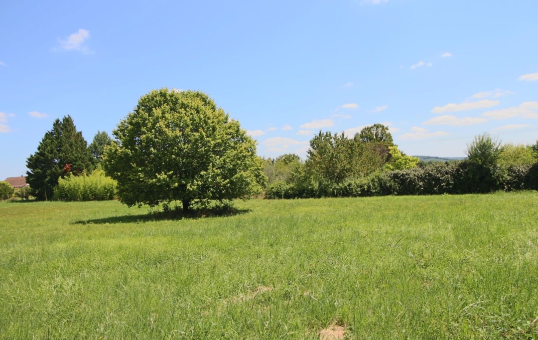 FACTORIMMO : Terrain | PUY-L'EVEQUE (46700) | 3 400 m2 | 41 200 € 