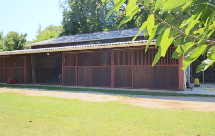 FACTORIMMO : Domaines / Propriétés | DURAVEL (46700) | 400 m2 | 449 000 € 